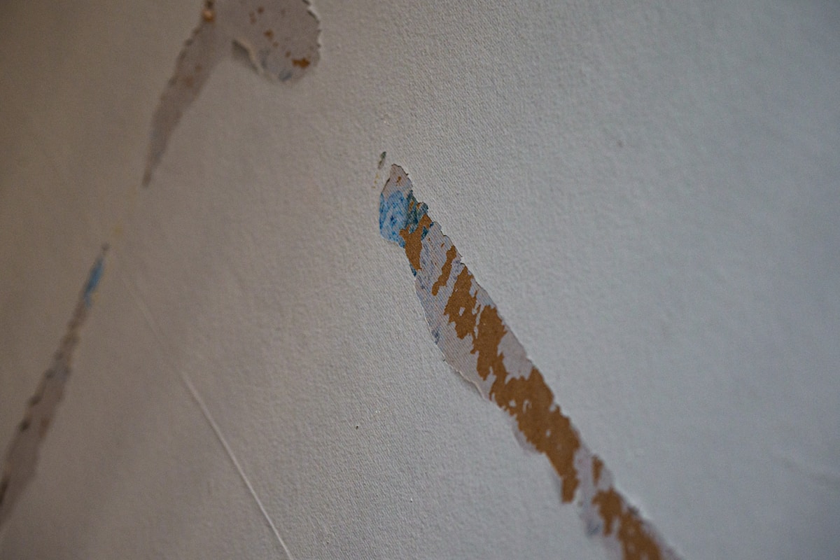 Sewage Cleanup service in Pine Hills, FL