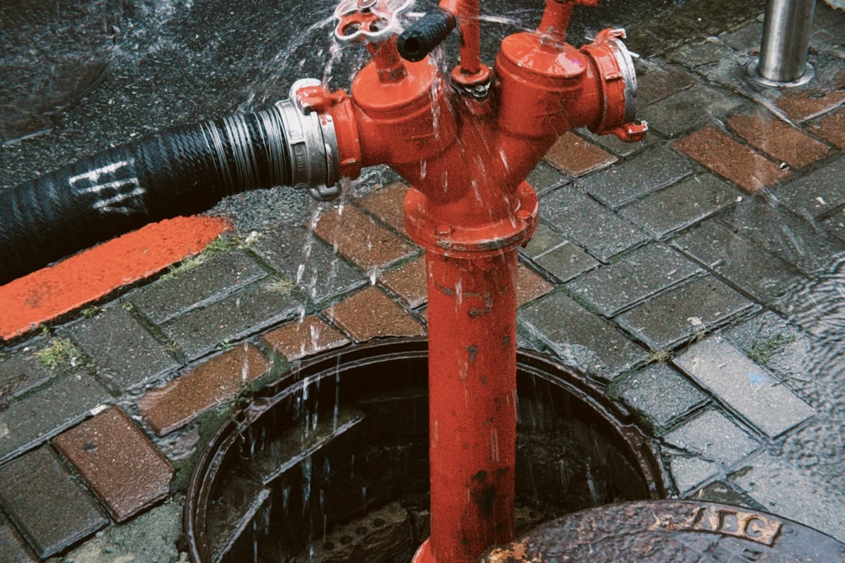 Commercial water damage restoration in Pine Hills